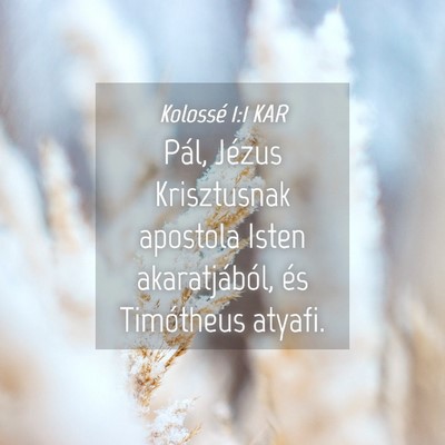 Picture 04 - Kolossé 1:1 KAR - Pál, Jézus Krisztusnak apostola Isten - Bible Verse Picture