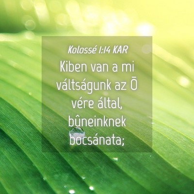 Picture 04 - Kolossé 1:14 KAR - Kiben van a mi váltságunk az Õ vére által, - Bible Verse Picture
