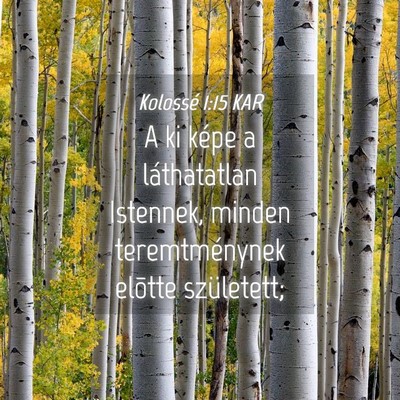 Picture 04 - Kolossé 1:15 KAR - A ki képe a láthatatlan Istennek, minden - Bible Verse Picture