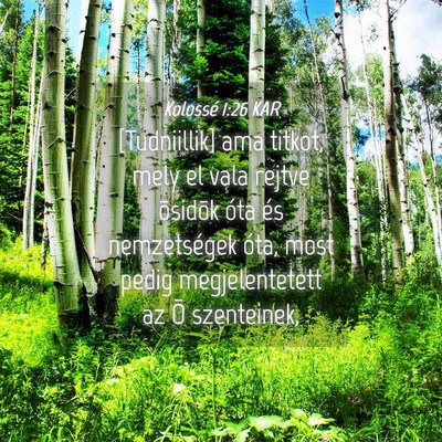 Picture 04 - Kolossé 1:26 KAR - [Tudniillik] ama titkot, mely el vala rejtve - Bible Verse Picture