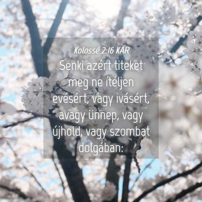 Picture 04 - Kolossé 2:16 KAR - Senki azért titeket meg ne ítéljen evésért, - Bible Verse Picture