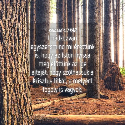 Picture 04 - Kolossé 4:3 KAR - Imádkozván egyszersmind mi érettünk is, hogy - Bible Verse Picture