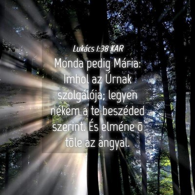 Picture 04 - Lukács 1:38 KAR - Monda pedig Mária: Imhol az Úrnak szolgálója; - Bible Verse Picture