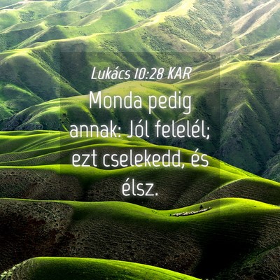 Picture 04 - Lukács 10:28 KAR - Monda pedig annak: Jól felelél; ezt cselekedd, - Bible Verse Picture