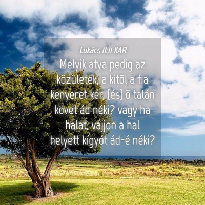Picture 04 - Lukács 11:11 KAR - Melyik atya pedig az közületek, a kitõl a fia - Bible Verse Picture