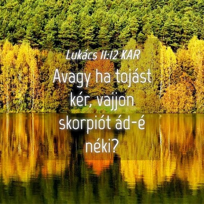Picture 04 - Lukács 11:12 KAR - Avagy ha tojást kér, vajjon skorpiót ád-é - Bible Verse Picture