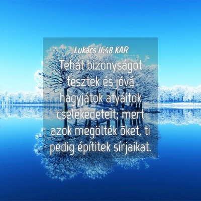 Picture 04 - Lukács 11:48 KAR - Tehát bizonyságot tesztek és jóvá hagyjátok - Bible Verse Picture