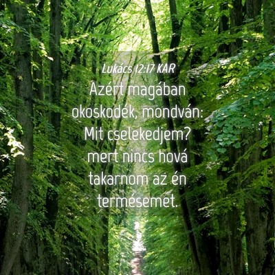 Picture 04 - Lukács 12:17 KAR - Azért magában okoskodék, mondván: Mit - Bible Verse Picture