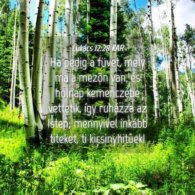 Picture 04 - Lukács 12:28 KAR - Ha pedig a füvet, mely ma a mezõn van, és - Bible Verse Picture