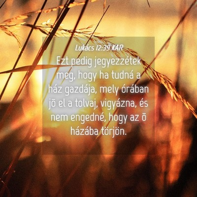 Picture 04 - Lukács 12:39 KAR - Ezt pedig jegyezzétek meg, hogy ha tudná a ház - Bible Verse Picture
