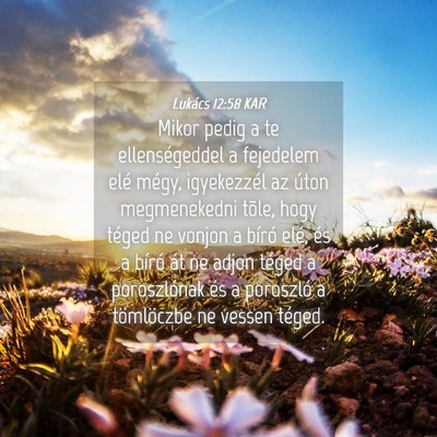 Picture 04 - Lukács 12:58 KAR - Mikor pedig a te ellenségeddel a fejedelem elé - Bible Verse Picture