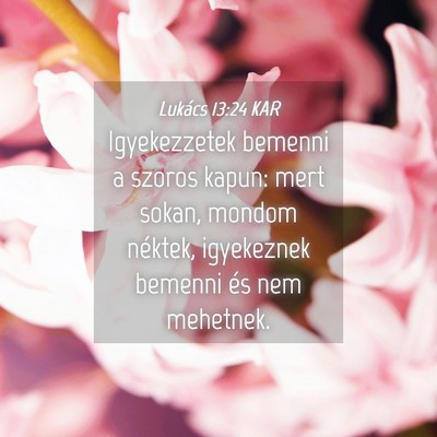 Picture 04 - Lukács 13:24 KAR - Igyekezzetek bemenni a szoros kapun: mert sokan, - Bible Verse Picture