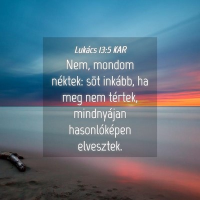 Picture 04 - Lukács 13:5 KAR - Nem, mondom néktek: sõt inkább, ha meg nem - Bible Verse Picture