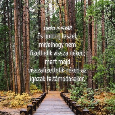 Picture 04 - Lukács 14:14 KAR - És boldog leszel; mivelhogy nem fizethetik - Bible Verse Picture