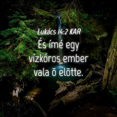 Picture 04 - Lukács 14:2 KAR - És ímé egy vízkóros ember vala õ - Bible Verse Picture