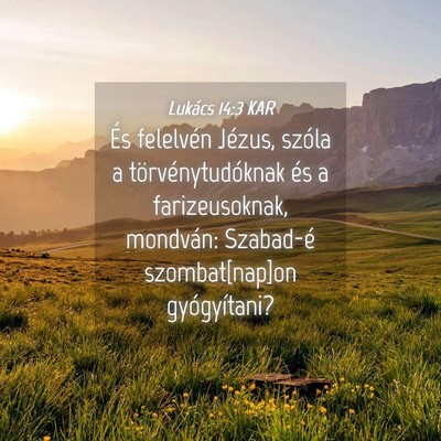 Picture 04 - Lukács 14:3 KAR - És felelvén Jézus, szóla a törvénytudóknak - Bible Verse Picture