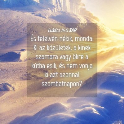 Picture 04 - Lukács 14:5 KAR - És felelvén nékik, monda: Ki az közületek, a - Bible Verse Picture