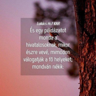 Picture 04 - Lukács 14:7 KAR - És egy példázatot monda a hivatalosoknak, - Bible Verse Picture