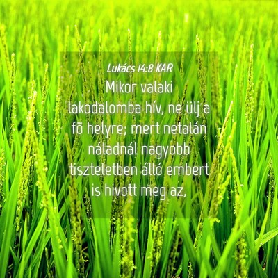 Picture 04 - Lukács 14:8 KAR - Mikor valaki lakodalomba hív, ne ülj a fõ - Bible Verse Picture