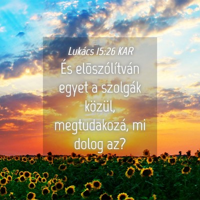 Picture 04 - Lukács 15:26 KAR - És elõszólítván egyet a szolgák közül, - Bible Verse Picture