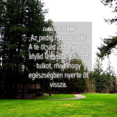 Picture 04 - Lukács 15:27 KAR - Az pedig monda néki: A te öcséd jött meg; és - Bible Verse Picture