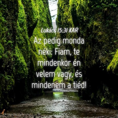 Picture 04 - Lukács 15:31 KAR - Az pedig monda néki: Fiam, te mindenkor én - Bible Verse Picture