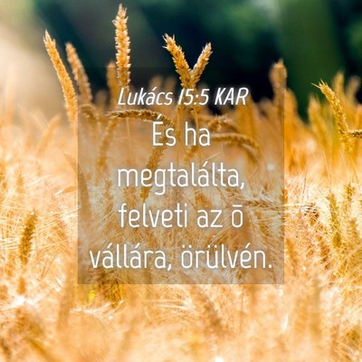 Picture 04 - Lukács 15:5 KAR - És ha megtalálta, felveti az õ vállára, - Bible Verse Picture