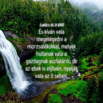 Picture 04 - Lukács 16:21 KAR - És kíván vala megelégedni a morzsalékokkal, - Bible Verse Picture