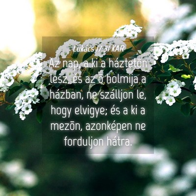 Picture 04 - Lukács 17:31 KAR - Az nap, a ki a háztetõn lesz, és az õ holmija - Bible Verse Picture