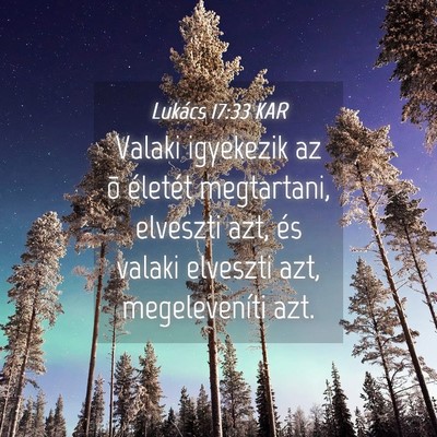 Picture 04 - Lukács 17:33 KAR - Valaki igyekezik az õ életét megtartani, - Bible Verse Picture
