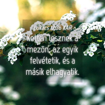 Picture 04 - Lukács 17:36 KAR - Ketten lesznek a mezõn; az egyik felvétetik, - Bible Verse Picture