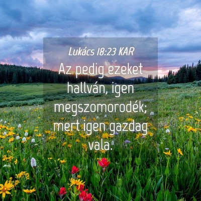 Picture 04 - Lukács 18:23 KAR - Az pedig ezeket hallván, igen megszomorodék; - Bible Verse Picture