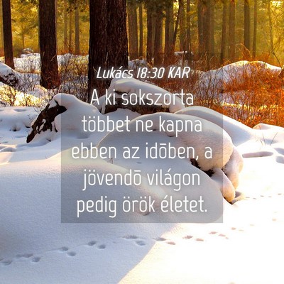 Picture 04 - Lukács 18:30 KAR - A ki sokszorta többet ne kapna ebben az idõben, - Bible Verse Picture