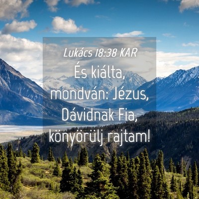 Picture 04 - Lukács 18:38 KAR - És kiálta, mondván: Jézus, Dávidnak Fia, - Bible Verse Picture