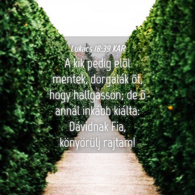 Picture 04 - Lukács 18:39 KAR - A kik pedig elõl mentek, dorgálák õt, hogy - Bible Verse Picture