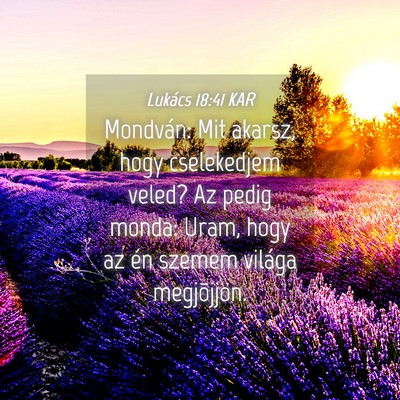 Picture 04 - Lukács 18:41 KAR - Mondván: Mit akarsz, hogy cselekedjem veled? Az - Bible Verse Picture