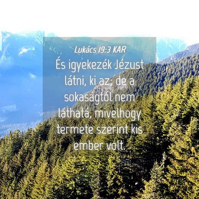 Picture 04 - Lukács 19:3 KAR - És igyekezék Jézust látni, ki az; de a - Bible Verse Picture