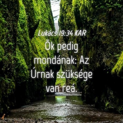 Picture 04 - Lukács 19:34 KAR - Õk pedig mondának: Az Úrnak szüksége van - Bible Verse Picture