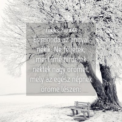 Picture 04 - Lukács 2:10 KAR - És monda az angyal nékik: Ne féljetek, mert - Bible Verse Picture