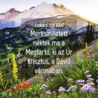 Picture 04 - Lukács 2:11 KAR - Mert született néktek ma a Megtartó, ki az Úr - Bible Verse Picture