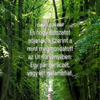 Picture 04 - Lukács 2:24 KAR - És hogy áldozatot adjanak, a szerint a mint - Bible Verse Picture