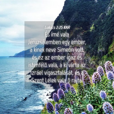 Picture 04 - Lukács 2:25 KAR - És ímé vala Jeruzsálemben egy ember, a kinek - Bible Verse Picture