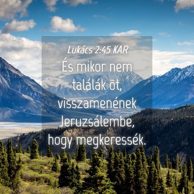 Picture 04 - Lukács 2:45 KAR - És mikor nem találák õt, visszamenének - Bible Verse Picture
