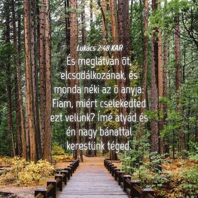 Picture 04 - Lukács 2:48 KAR - És meglátván õt, elcsodálkozának, és monda - Bible Verse Picture