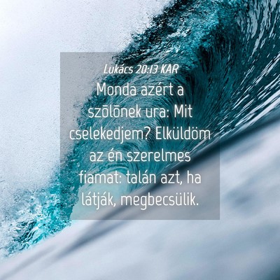 Picture 04 - Lukács 20:13 KAR - Monda azért a szõlõnek ura: Mit cselekedjem? - Bible Verse Picture