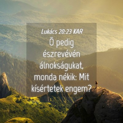 Picture 04 - Lukács 20:23 KAR - Õ pedig észrevévén álnokságukat, monda - Bible Verse Picture