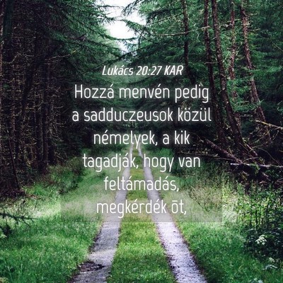 Picture 04 - Lukács 20:27 KAR - Hozzá menvén pedig a sadduczeusok közül - Bible Verse Picture