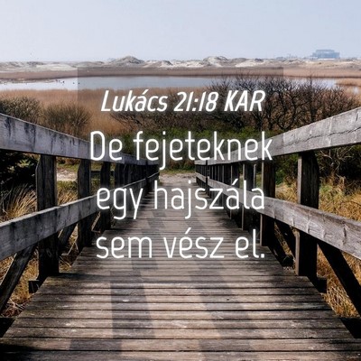 Picture 04 - Lukács 21:18 KAR - De fejeteknek egy hajszála sem vész - Bible Verse Picture