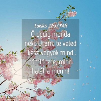 Picture 04 - Lukács 22:33 KAR - Õ pedig monda néki: Uram, te veled kész vagyok - Bible Verse Picture