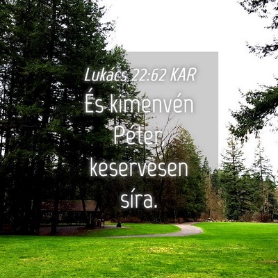 Picture 04 - Lukács 22:62 KAR - És kimenvén Péter, keservesen - Bible Verse Picture